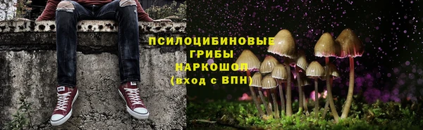 шишки Белоозёрский